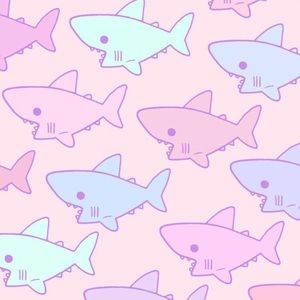 Meet your Posher, Cashan